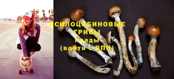 молекула духа Абдулино