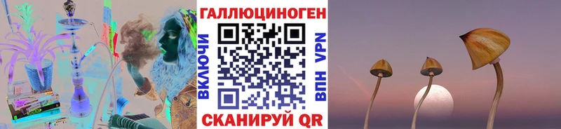 Псилоцибиновые грибы MAGIC MUSHROOMS  Адыгейск 